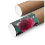 PAPEL IMPRESIÓN FL 61*600M/75GR